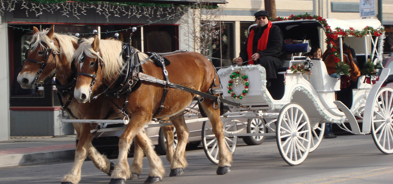 Hawley Winterfest Horse and Carriage