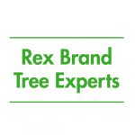 Rex Brand Tree Experts logo